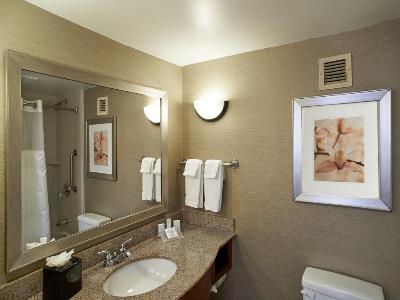Hilton Garden Atlanta Northeast/gwinnett Sugarloaf Hotel 3*